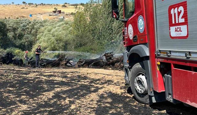Eskişehir’de Tarım Arazisinde Çıkan Ekin Yangını Söndürüldü