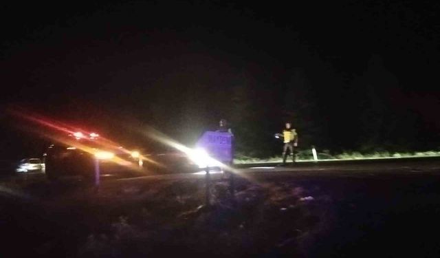 Elektrik Tellerine Çarpan Kuş Yangına Neden Oldu