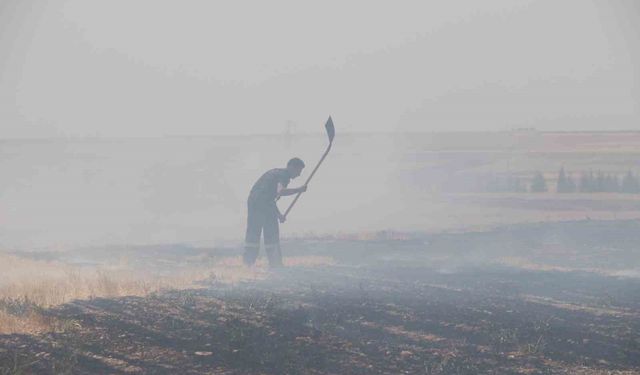 Eskişehir’de Trafodan Çıkan Yangında 50 Dönüm Tarım Arazisi Kül Oldu