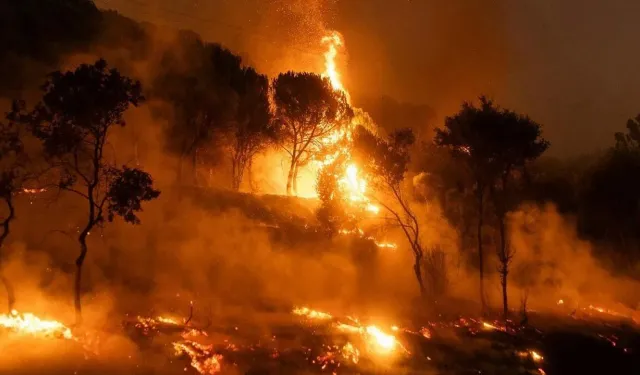 Eskişehir Valiliğinden Sıcak Hava ve Orman Yangını Uyarısı