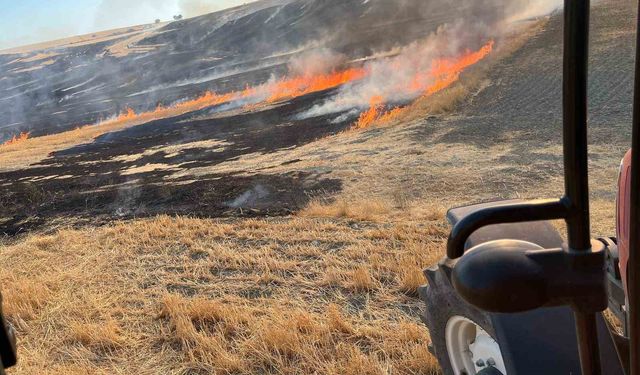 Eskişehir’de otluk alanda çıkan yangın büyümeden söndürüldü