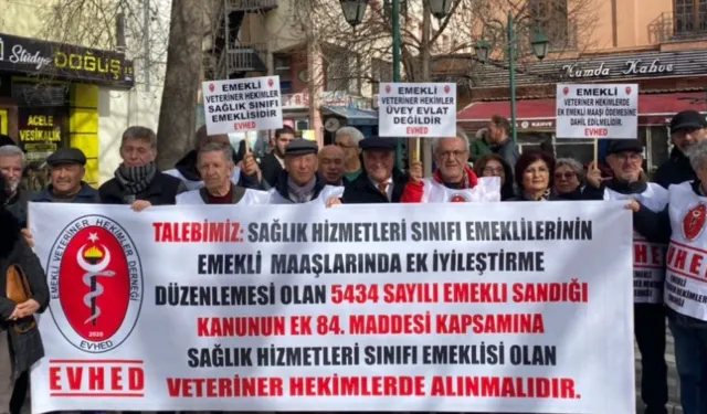 Emekli Veteriner Hekimler: “Sağlık Sınıfında Üvey Evlat Muamelesi Görüyoruz”