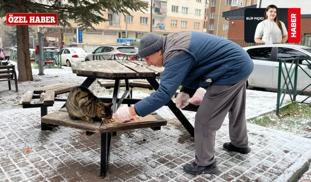 Eskişehir’de Sessiz Bir İyilik Hikâyesi: Fevzi Amca Sokak Hayvanları İçin Yollarda