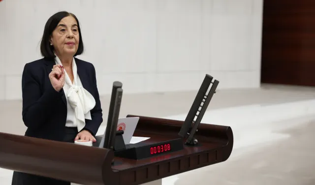 CHP Eskişehir Milletvekili Süllü: “Emekli Veteriner Hekimler Yarı Maaşa Mahkûm Edildi”