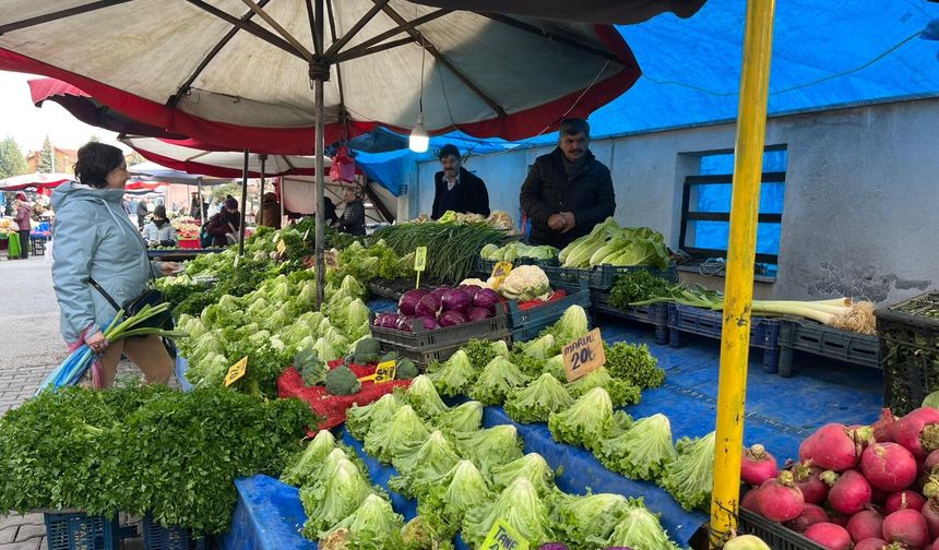 Eskişehir’de Dondurucu Soğuklar Pazar Fiyatlarını Katladı