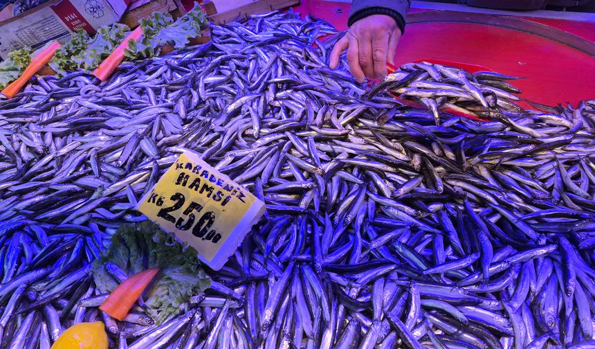 Sardalya Tezgahların Yıldızı Oldu: Eskişehir’de Yoğun İlgi