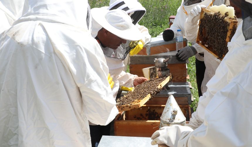 Arıköy’de Arıcılık Kayıtları Başlıyor