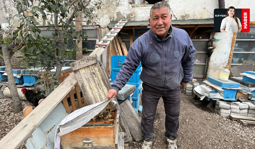 Ahşap Kovanda Devrim: Arıya Hizmet Eden Usta