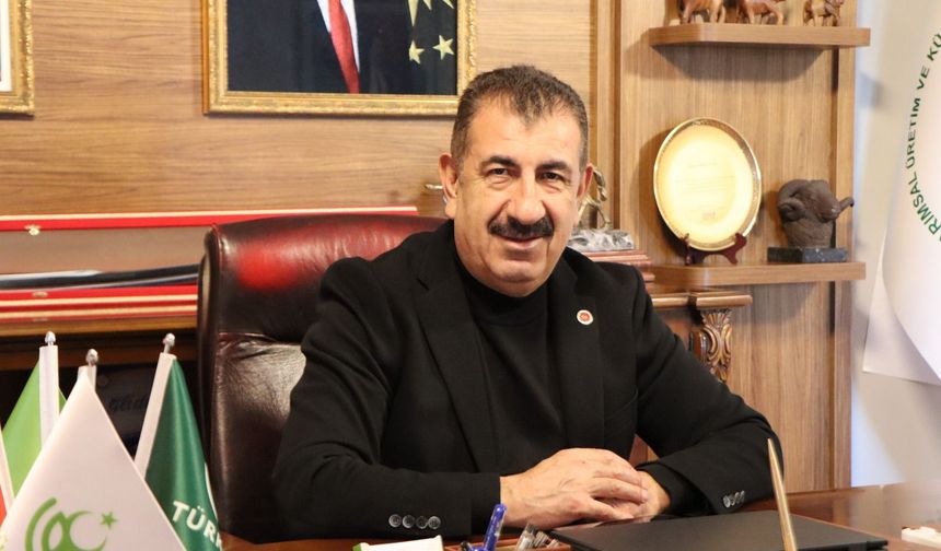 Bu Yöntem Orman Yangınlarını Sessizce Önleyebilir