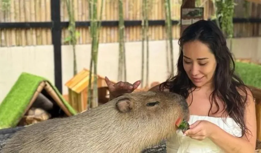 Erol Köse'nin kızı Dijan Nazlan Köse kimdir, kaç yaşında, ne iş yapıyor? Erol Köse'nin kızı kimdir?