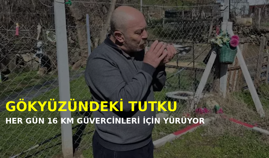 Gökyüzündeki tutku sınır tanımıyor: Eskişehirli güvercin sevdalısı her gün 16 kilometre yol kat ediyor