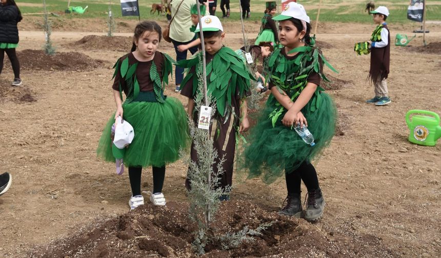 Orman Haftası Etkinlikleri O Tarihte Yapılacak, İşte Detaylar