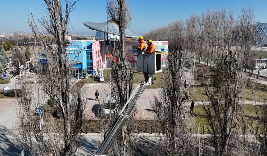 Sazova Parkı’nda Ağaç Gençleştirme Çalışması Sürüyor