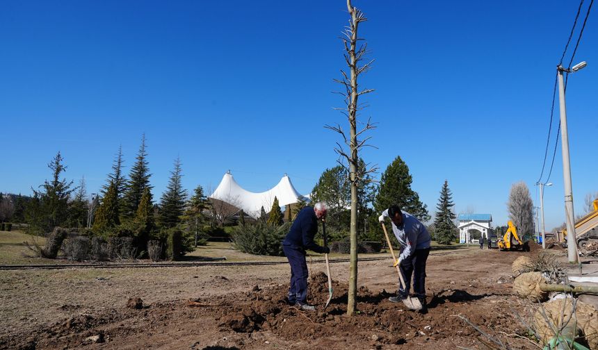 Sazova Parkı’nda Yeşil Dönüşüm Gerçekleştiriliyor