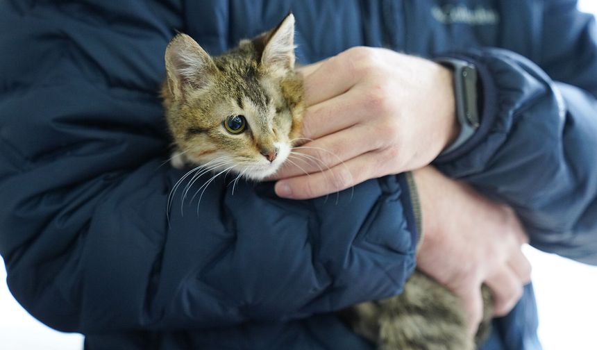 Tepebaşı Doğal Yaşam Merkezi Can Dostlara Umut Oldu