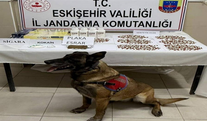 Yurtdışından Getirilen Yasaklı Madde Eskişehir'de Yakalandı