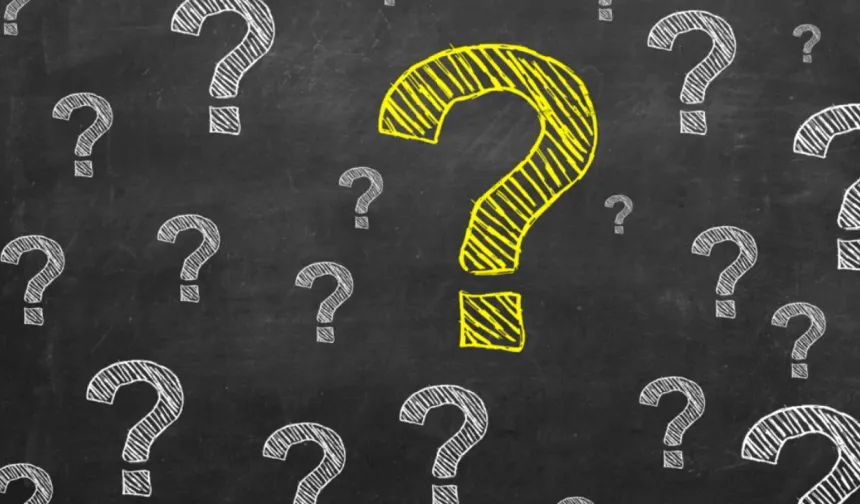 Persona Non Frata Nedir?