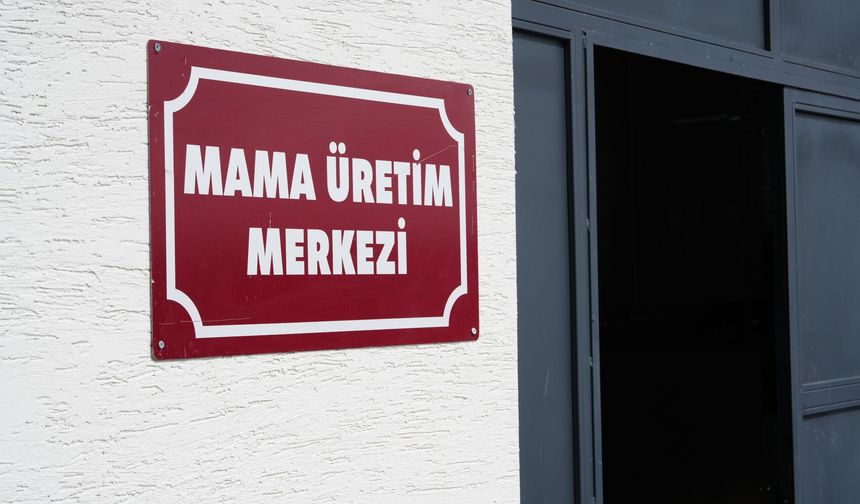 Atık Yemekler Sokak Hayvanlarına Mama Oluyor