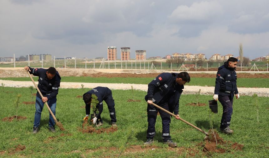 Eskişehir’de Yeni Evlenen Çiftlere Fidan Hediyesi