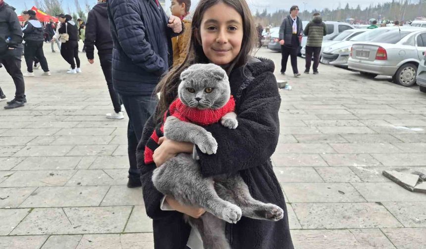Minik Taraftar Kedisiyle Tribünde İlgi Odağı Oldu