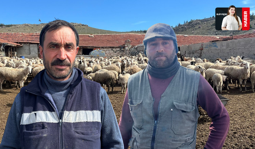 Üretici Zararda: Maliyetler Katlandı, Et Yerinde Saydı