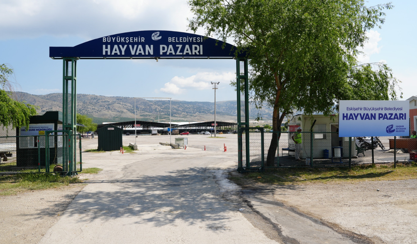 Büyükşehir Hayvan Pazarı Yer Satışı Başladı