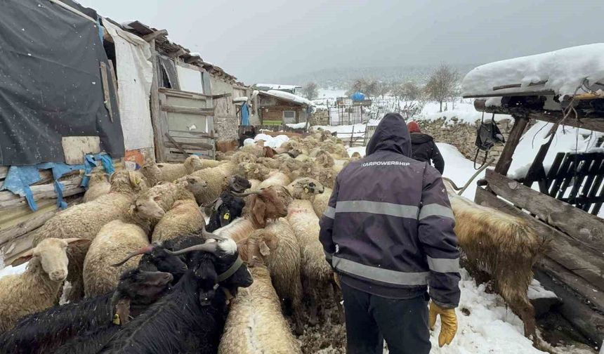 Eskişehir’de Besici Çiftin Mayıs Karıyla Mücadelesi