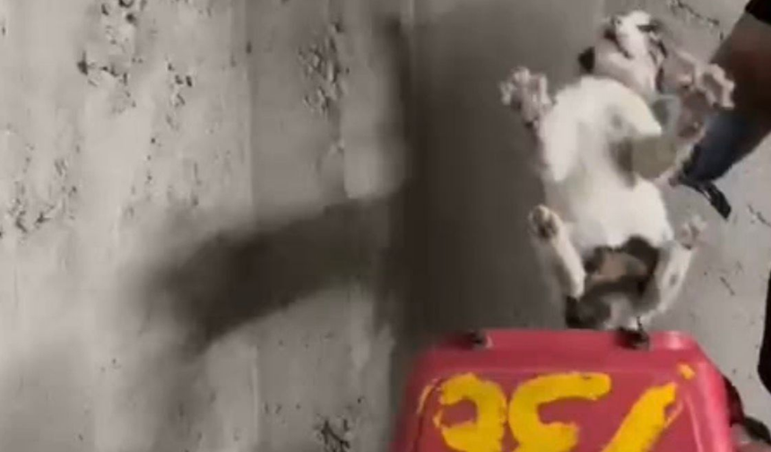 İtfaiyeden Yürek Isıtan Kurtarma Operasyonu