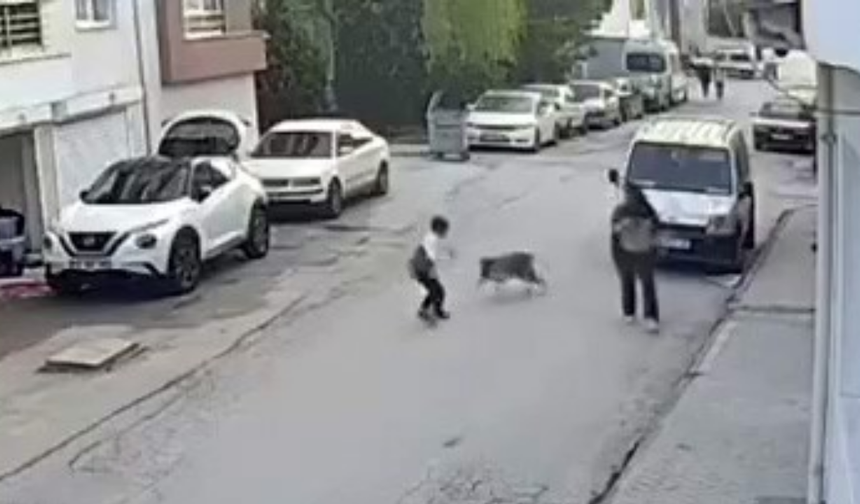 Köpeğin Korkuttuğu Çocuk Kameraya Yansıdı