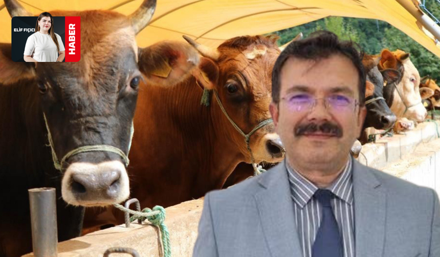 Kurban kesiminde nelere dikkat edilmeli? Müftü yardımcısı açıkladı