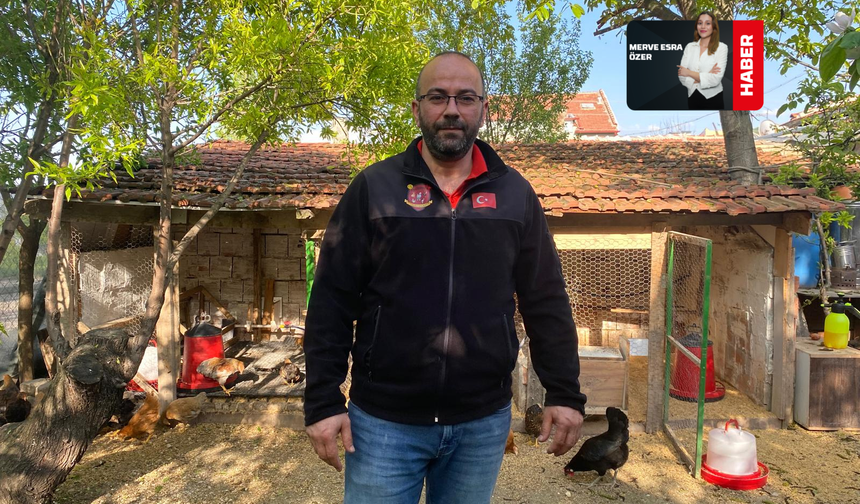 Yumurtada Mayıs Çukuru Üreticiyi Zorluyor