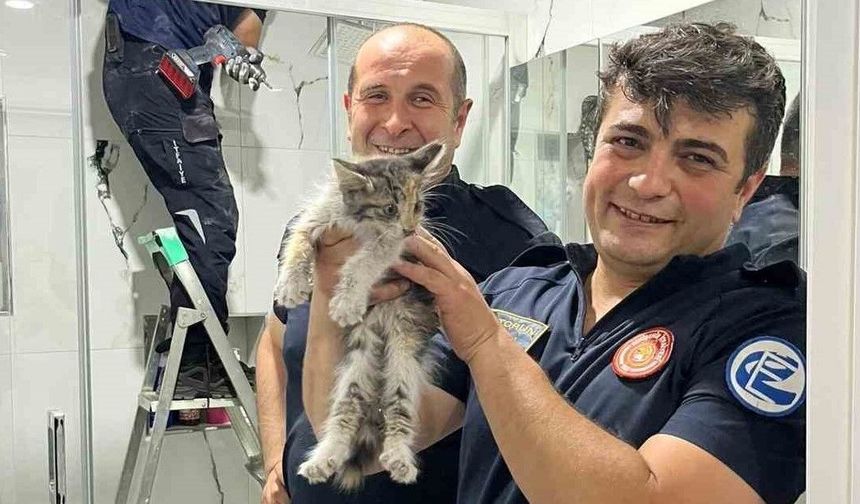 Büyükşehir İtfaiyesi Havalandırma Boşluğuna Düşen Kediyi Kurtardı