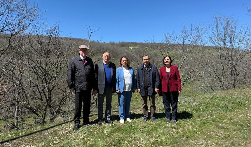 CHP’li Süllü’den Maden Projesine “Doğa Suçu” Eleştirisi