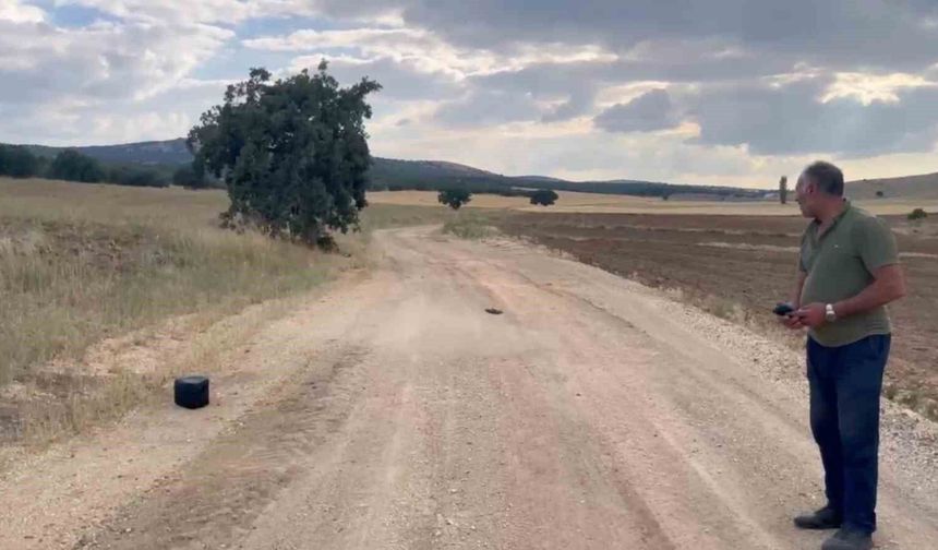 Doğumu Yaklaşan İnek İçin Dron Seferberliği