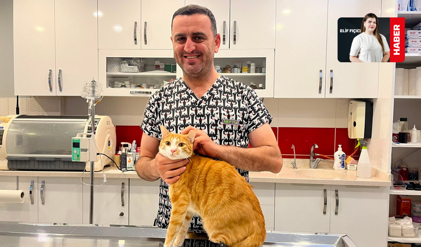 Eskişehir'de İlk Kez Yapılan Tedaviyle Kedi Bodhi Sağlığına Kavuştu