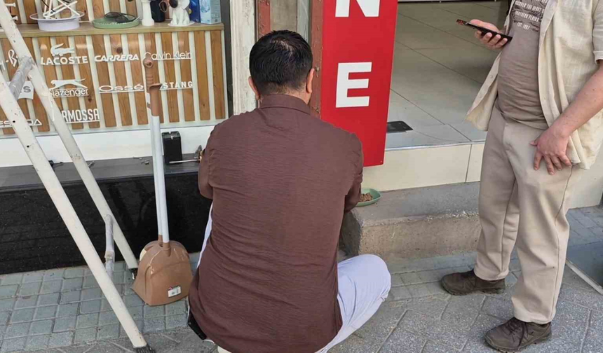 Eskişehir'de Tabelaya Sıkışan Kedi Kurtarıldı
