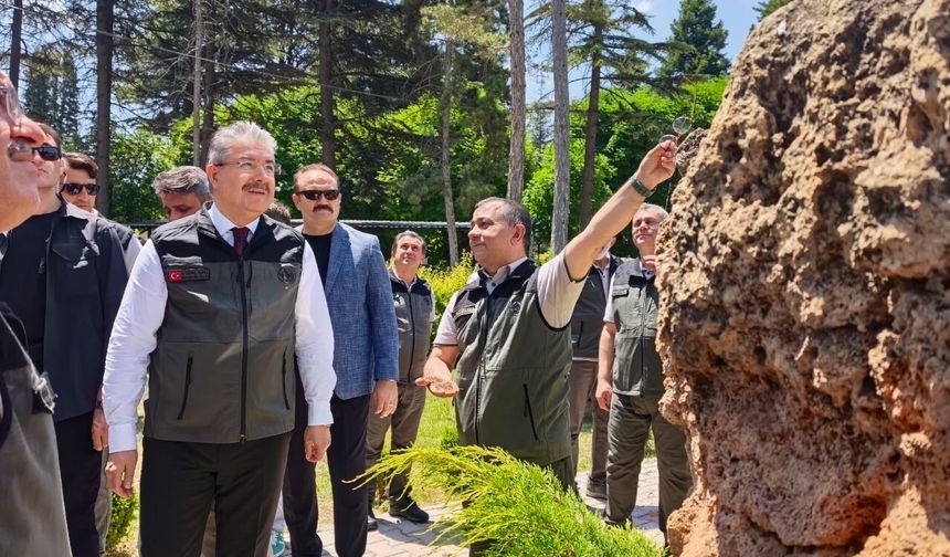 Vali Yılmaz Eskişehir Fidanlığında İncelemelerde Bulundu