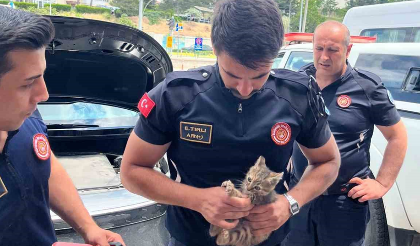 İtfaiye, Arabanın Motor Bölümüne Sıkışan Kediyi Kurtardı