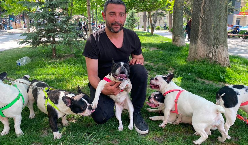 “Köpeklerim Ayrılmasın” Diyerek Destek İstedi