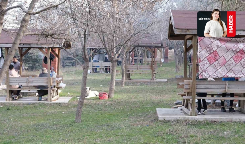 Piknik Masasının Maliyeti Arttı: Et Fiyatları Cep Yakıyor