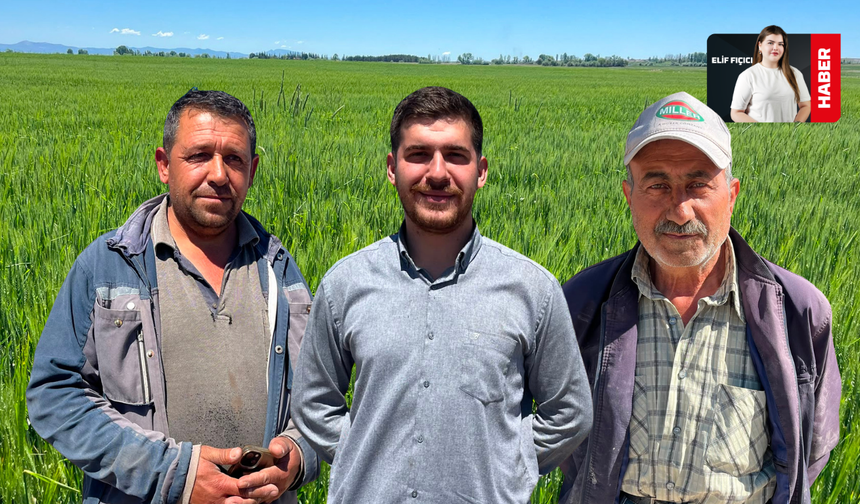 Yağışlar Çiftçileri Sevindirdi, Maliyetler Endişelendirdi