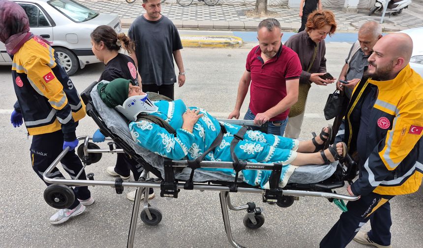 Anneannelik İçgüdüsü Torununu Kurtardı!