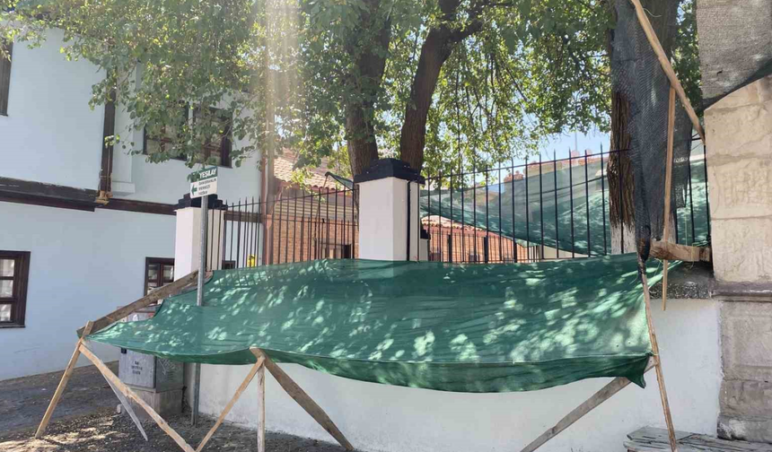 Ak Cami Bahçesindeki Dut Ağacına Fileli Çözüm