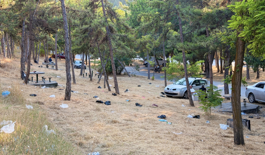 AK Gençlerden Eskişehir'de Şelale Park Temizliği