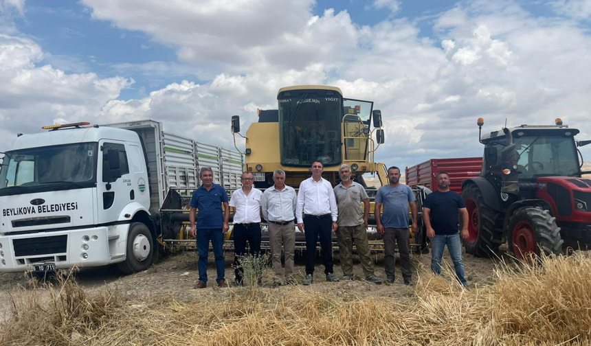 Beylikova'da Hububat Hasadı Başladı