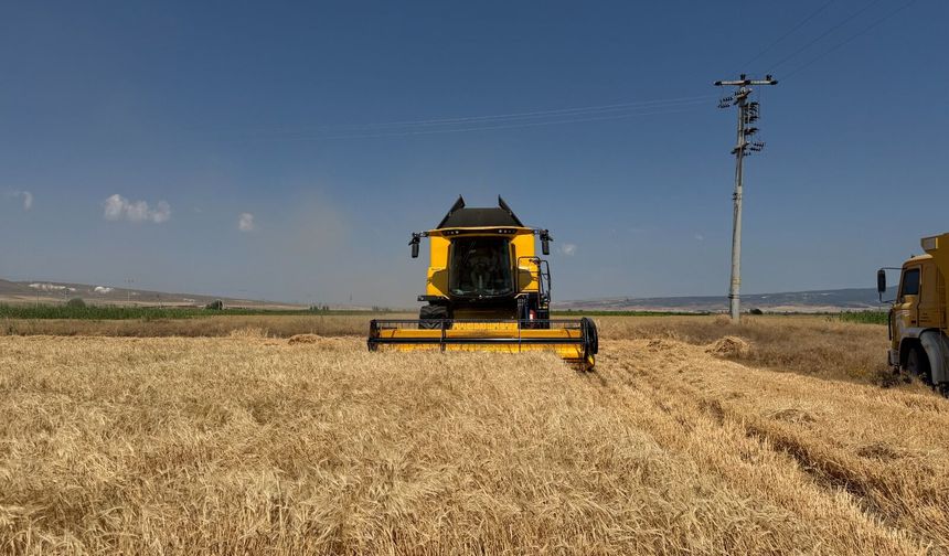 Büyükşehir’in Tarım Arazilerinde 77 Ton Arpa Hasadı Yapıldı