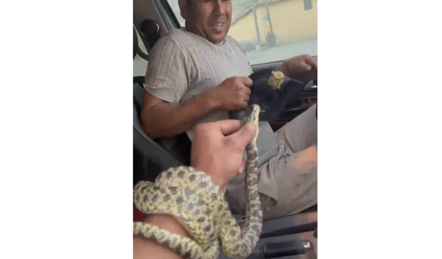 Eskişehir'de Bir Vatandaş Eline Aldığı Yılanla Çevredekilerle Şakalaştı