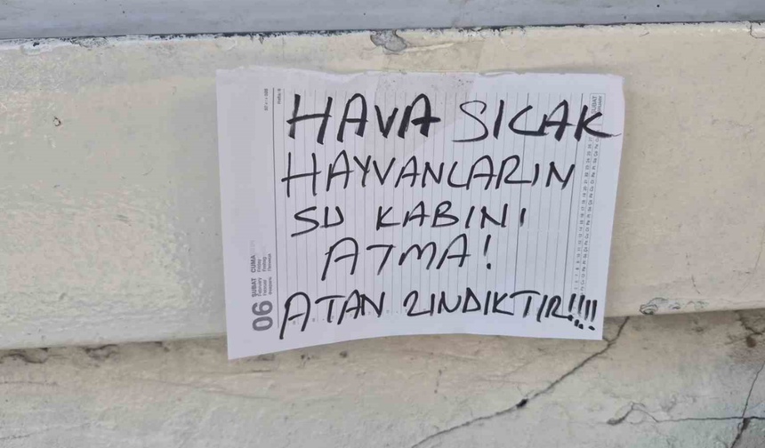 Eskişehir'de Sokak Hayvanları İçin Anlamlı Duyarlılık