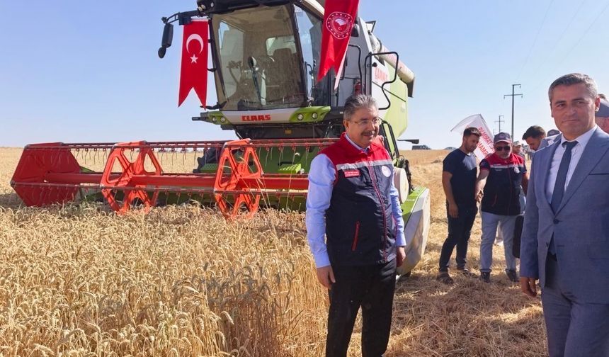 Sivrihisar'da Hasat Mesaisi: Tarlaya İnen Vali Yılmaz'dan Çiftçilere Çağrı