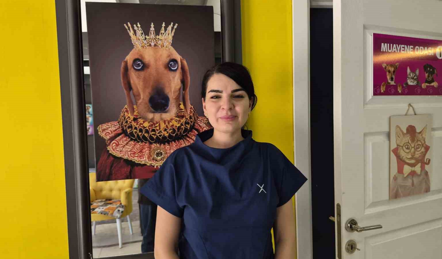 Veteriner Kara'dan Evcil Hayvanlar İçin Sıcak Uyarısı